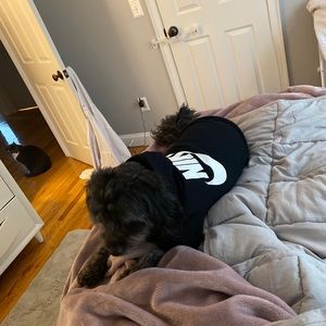 Meet your Posher, Gabriella